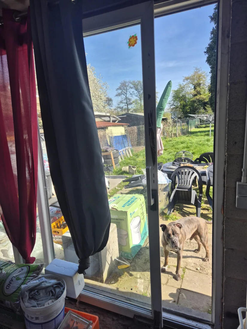 Vue de vitrage et de châssis à examiner
